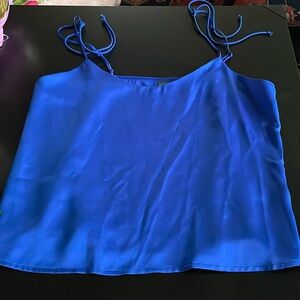This is a blue silky top from Wild Fable in a S